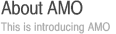About AMO - This is introducing AMO